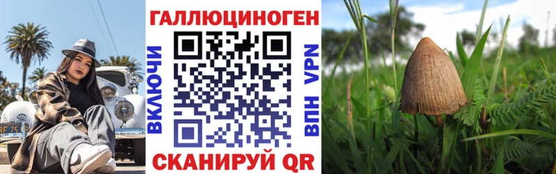 Псилоцибиновые грибы мицелий  Облучье 